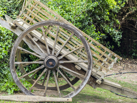 Wooden cart with big wheelの写真素材