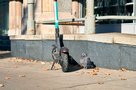 City pigeon sitting next to an electric kick scooter on the street in Warsawの写真素材