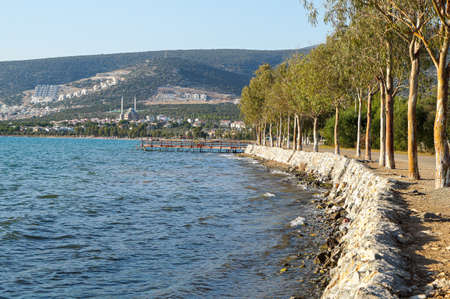 Coniferous trees on the seashore in Akbuk village in Turkey. View of the bay and hills. Turbines of a wind farm on the hillsの写真素材