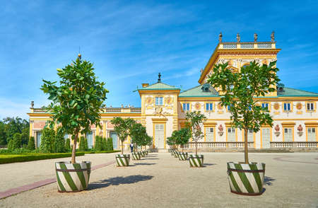 Alley of citrus trees in front of the palace of King of Poland Jan III Sobieski in Wilanow, Warsawのeditorial素材