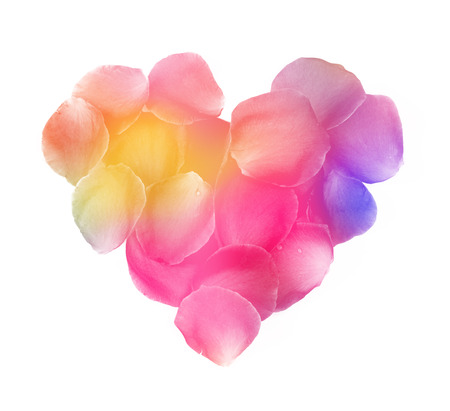 Colorful rose petals heart の写真素材