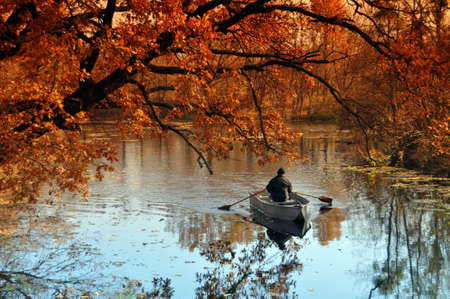 Golden Autumn の写真素材