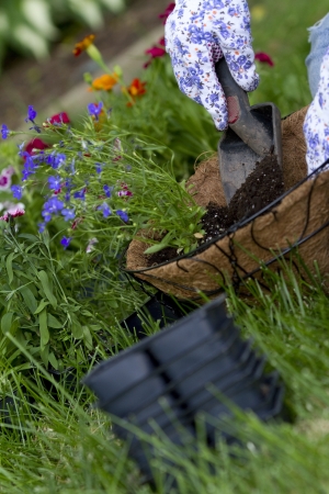 gardener pours soil into hanging basket, blurred motion on soil to show action of pouring  empty containers in foreground out of focus の写真素材