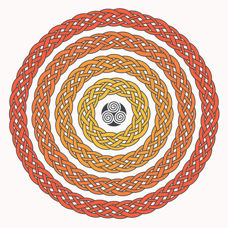 Celtic knot braided frame border ornaments set. 4 circles set.のイラスト素材