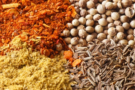 set of four species of colorful spices Caucasianの写真素材