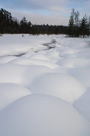 A small unfrozen stream among the snow and a forest in the background.の写真素材