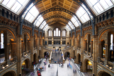 The great Central Hall of The Natural History Museum, Londonのeditorial素材