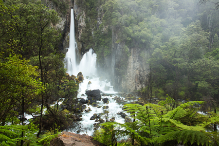 Beautiful Green Tarawera Falls, New Zealandの写真素材