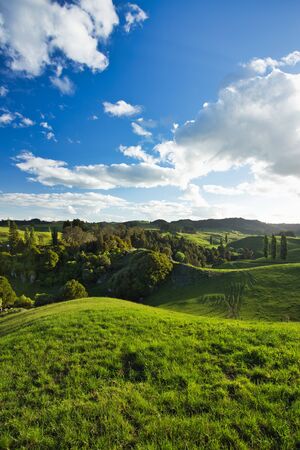 New Zealand Countryside Scenery, Waitomo Areaの写真素材