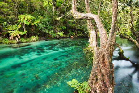 Tarawera River in North Island, New Zealandの写真素材