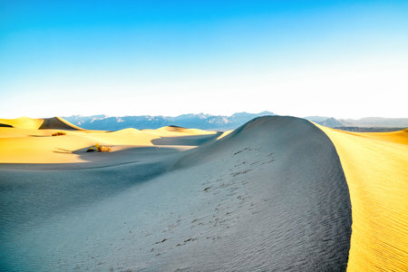 Mesquite Dunes in Death Valley National Park at Sunrise, Californiaの写真素材
