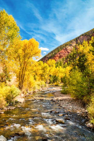 River Surrounded by Beautiful Yellow Aspen Trees in the Fall with Clear Blue Skies, Colorado, USAの写真素材