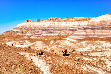 Plant Fossils in Badlands of Petrified Forest National Park, Arizona, USAの写真素材