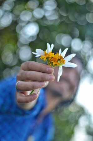 Man holding daisies in his hand. Selective focus.の写真素材