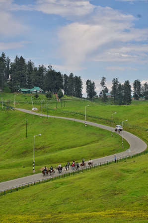 Horse riding on the road in the alpine meadow.の写真素材