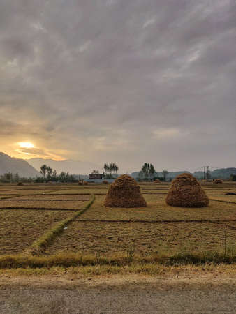 Rice paddies in the countryside of Yunnan, China.の写真素材