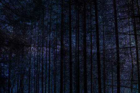 tree in spaceの写真素材