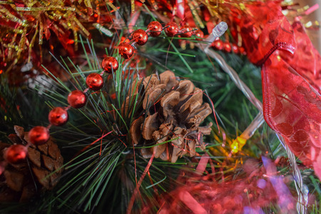christmas tree pine coneの写真素材