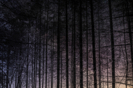 tree in spaceの写真素材