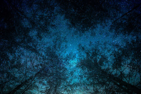 tree in spaceの写真素材