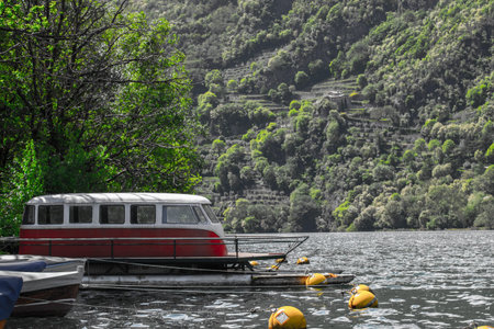 boat on the lake