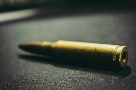 bullets of my gun