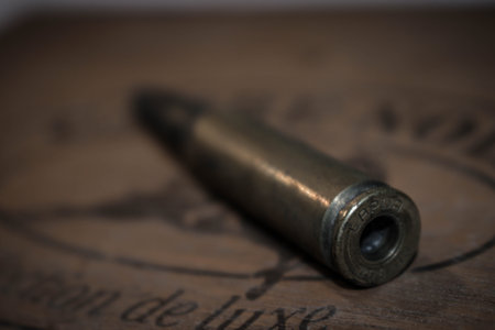 bullets of my gun