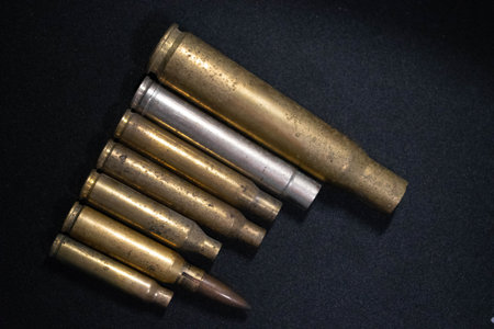 bullets of my gun