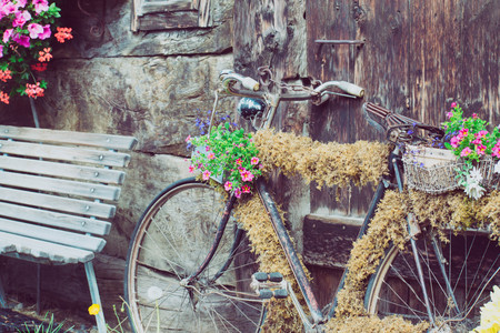 an old flower covered bykeの写真素材