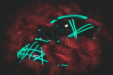 the purge horror led maskの写真素材