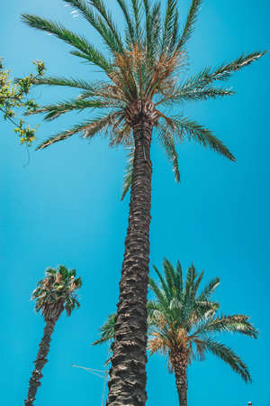 fantastic view on saleto and puglia landの写真素材