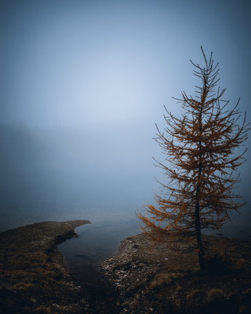view on foggy lake mortirolo in mountain