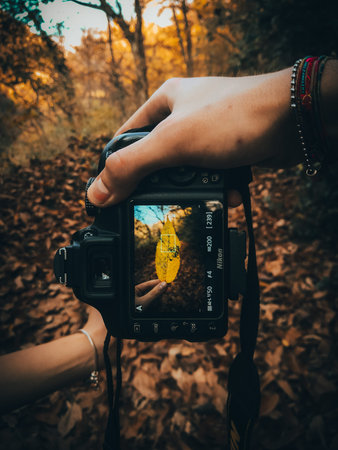 view on an orange leave and autumn backgroundの写真素材