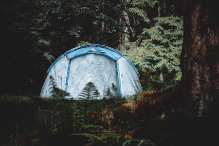 a fantastic camping day in a tentの写真素材