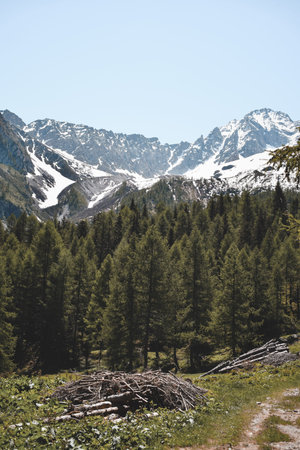 a great view on an italian forestの写真素材