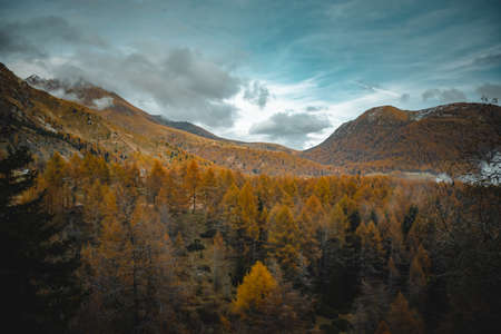 a fantastic view on the mortirolo lake, near bresciaの写真素材