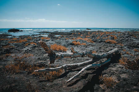 fantastic view on some lovely places in pugliaの写真素材