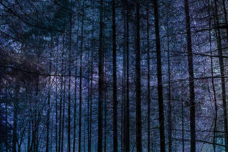 tree in spaceの写真素材