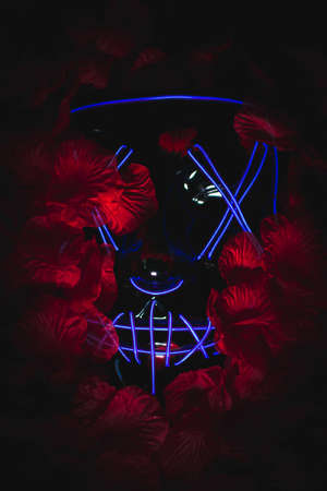 a fantastic shot of an horrible purge maskの写真素材
