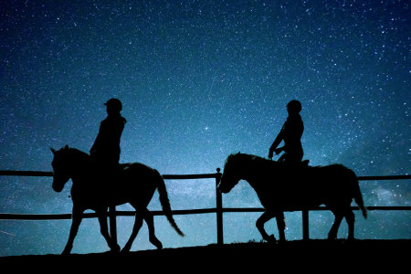 a horse riding with a space backgroundの写真素材