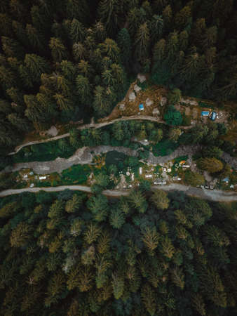 a great view on an italian forestの写真素材