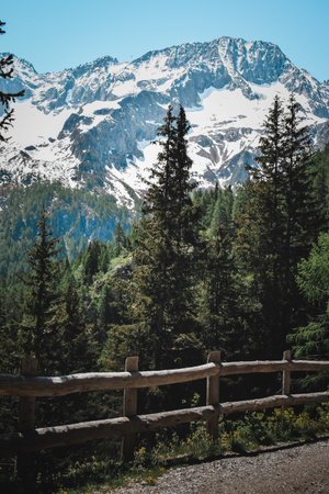 a great view on an italian forestの写真素材