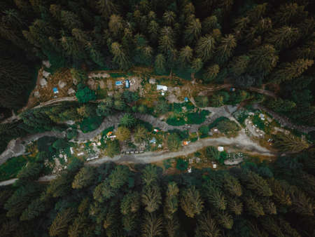 a great view on an italian forestの写真素材