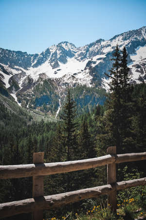 a great view on an italian forestの写真素材