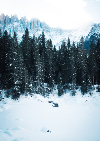 beautifull view on carezza lake in winterの写真素材