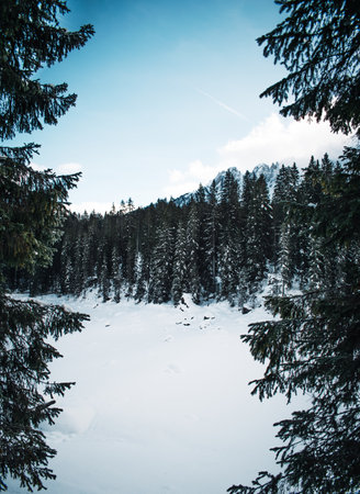 beautifull view on carezza lake in winterの写真素材
