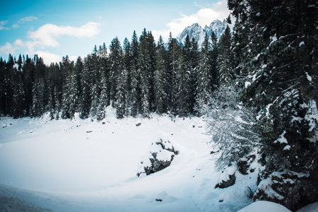 beautifull view on carezza lake in winterの写真素材