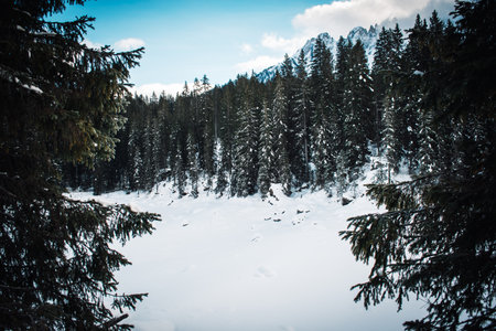 beautifull view on carezza lake in winterの写真素材