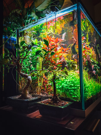 view on my beautifull aquariumの写真素材