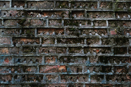 texture of wall from a old red brickの写真素材